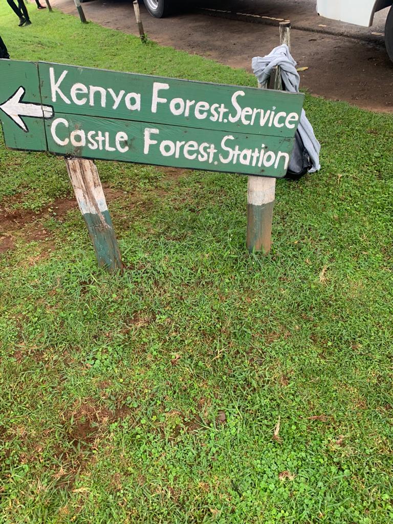 castle forest station