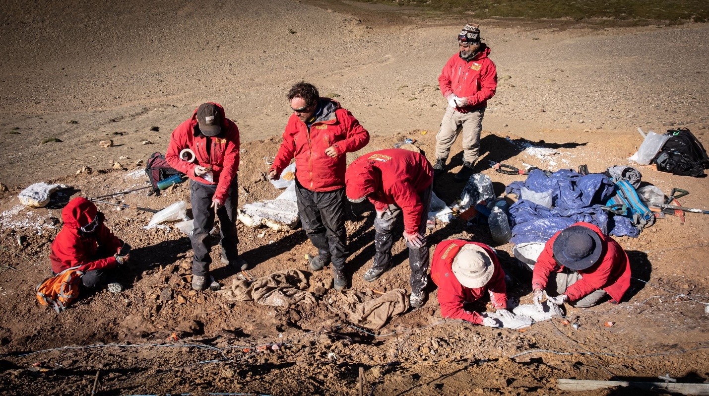 Scientists work in the fossil site in the Cerro Guido, in the Las Chinas river valley, Chile, Feb. 26, 2020. (AFP Photo)