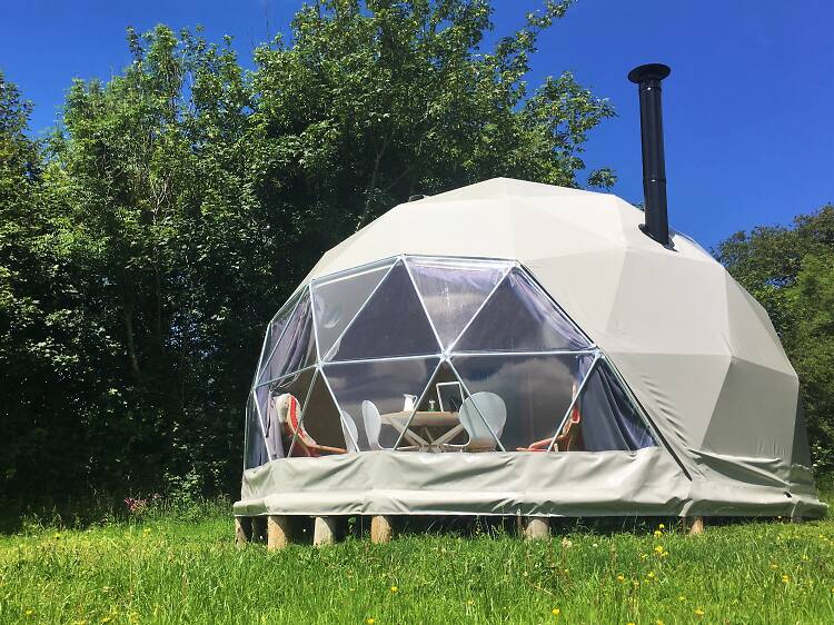 Top of the Woods, Pembrokeshire