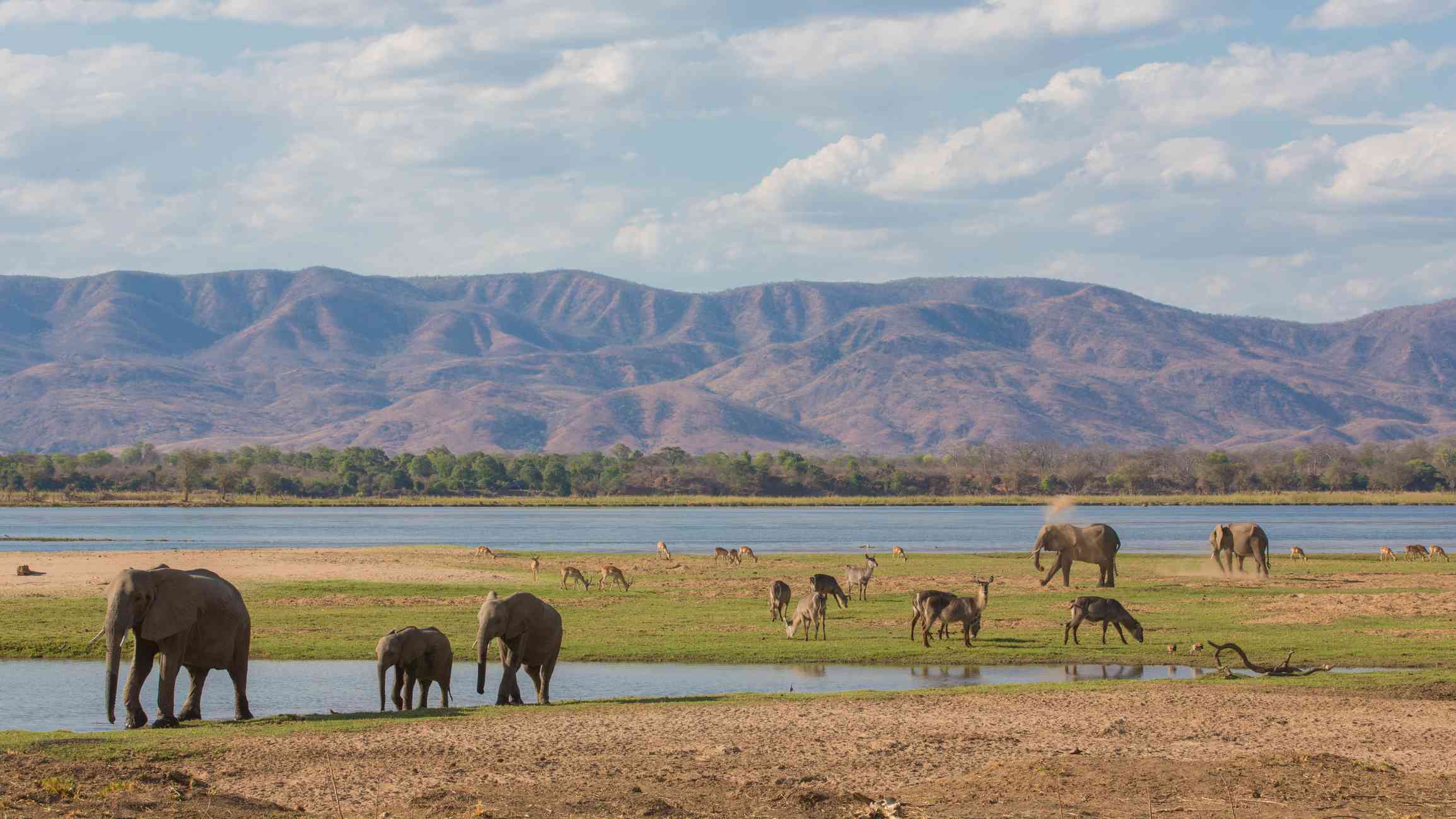 Mana Pools National Park: The Complete Guide