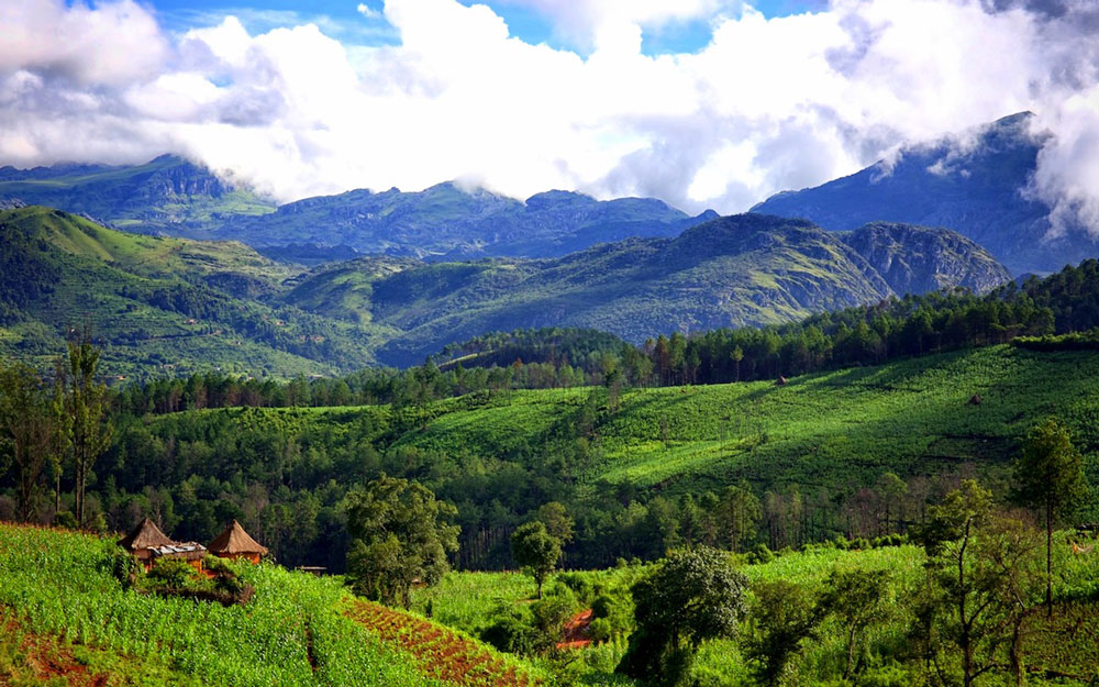 Eastern Highlands - Vayeni