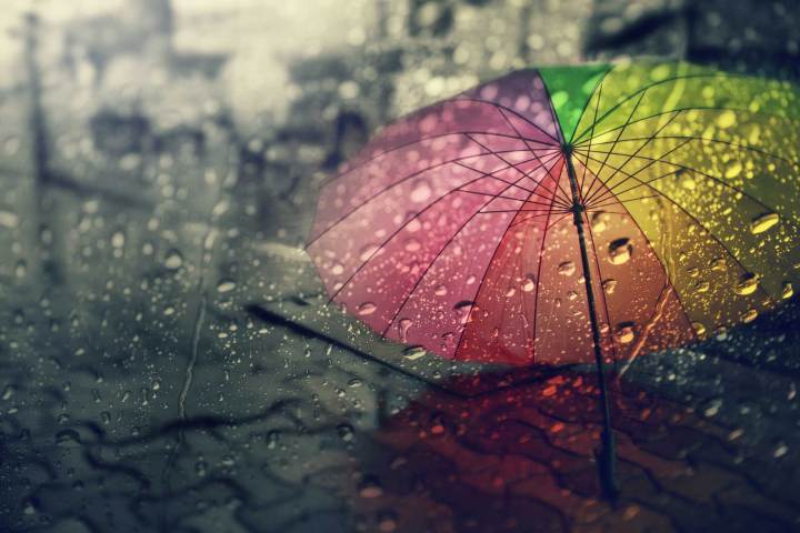 Mastering the Art of Rain Photography | Shutterstock