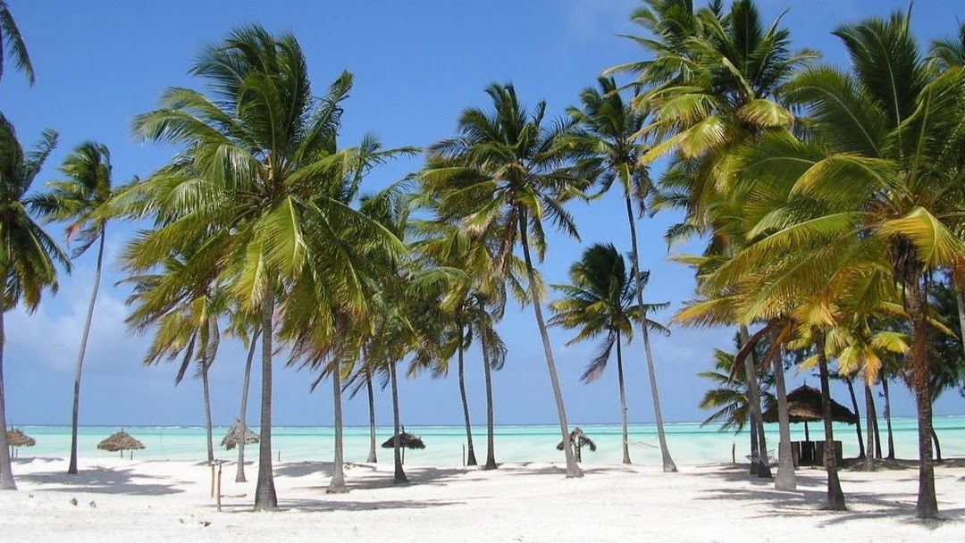 Paje Beach | Beaches in Zanzibar » Tanzania Travel Guide