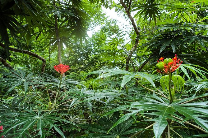 Zanzibar Heritage and Spice Tour 2023 - Zanzibar City