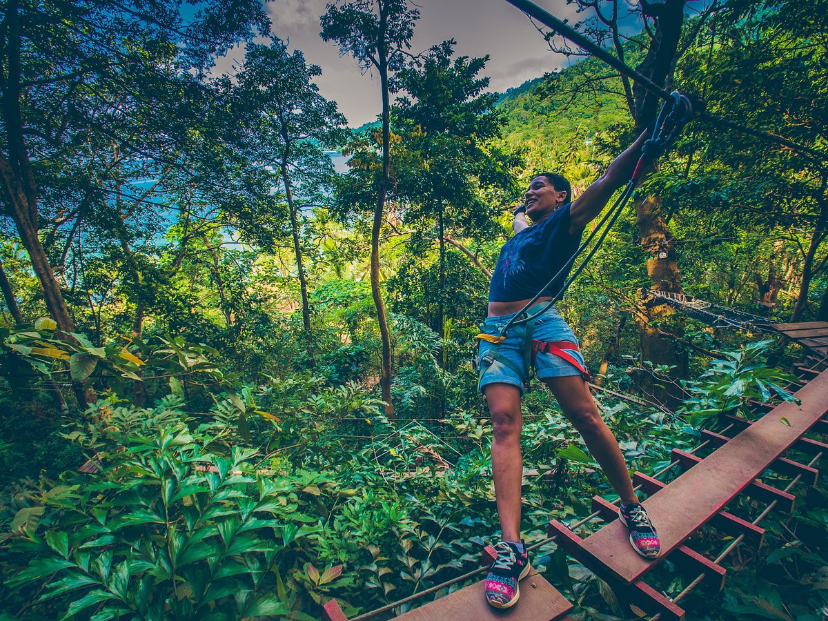 Tree Top Adventure Park (Ko Chang) - All You Need to Know BEFORE You Go