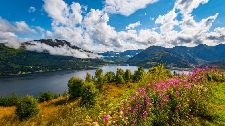 Scotland in April: Weather, Tips & Spring Festivals | Bookmundi