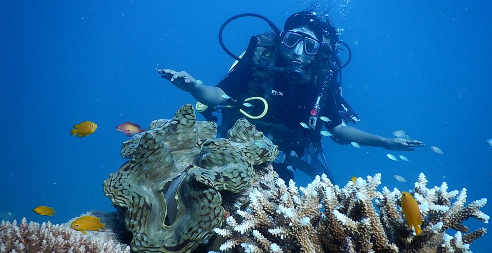 Scuba Diving in Watamu Kenya | Hemingways Watamu