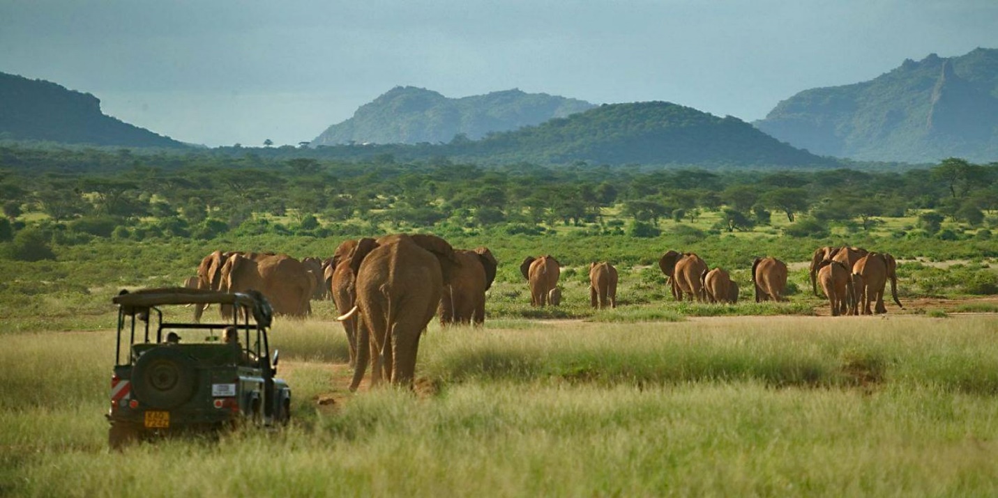 Best Time to Visit Samburu National Reserve | Kenya Safaris Tours