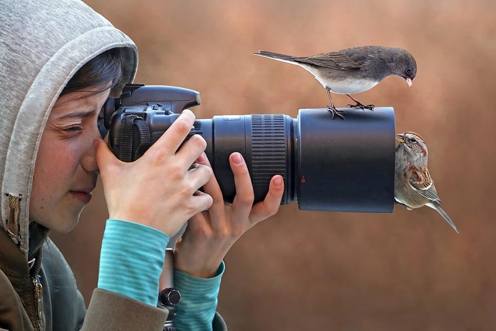 Photographing Birds: Tips, Tricks and Equipment - The Happy Chicken Coop