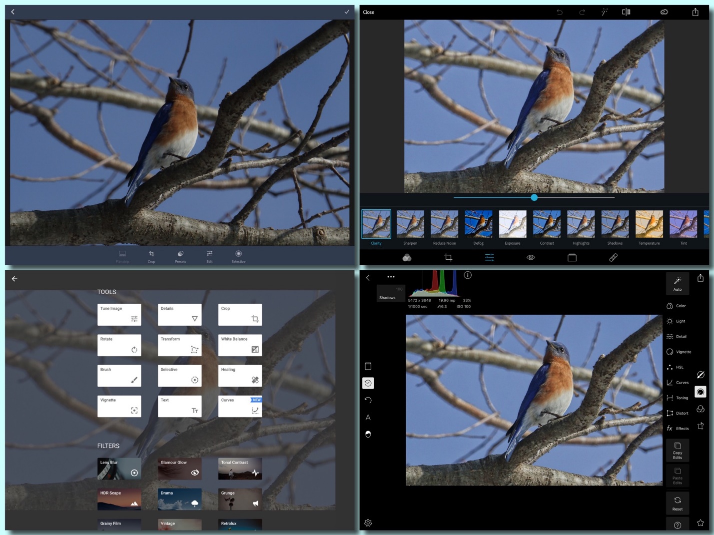 Basic jpeg workflow. Post-processing. – Point & Shoot Nature Photographer