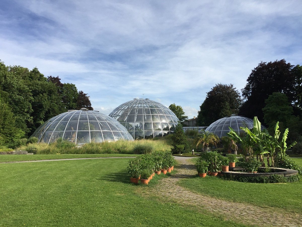 Botanical Garden (Zurich) - All You Need to Know BEFORE You Go