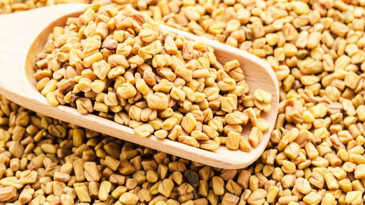 What is Fenugreek Spice?